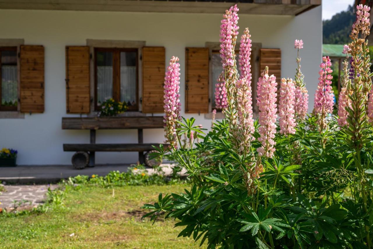 Hotel La Gerla Casa Vacanze Dolomiti à Perarolo di Cadore Extérieur photo