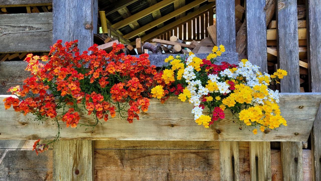 Hotel La Gerla Casa Vacanze Dolomiti à Perarolo di Cadore Extérieur photo